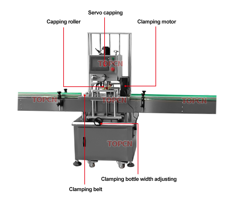 Automatic Two Head Servo Rotor Pump Oil Cream Shampoo Laundry Detergent Honey Paste Linear Filling Capping Machine